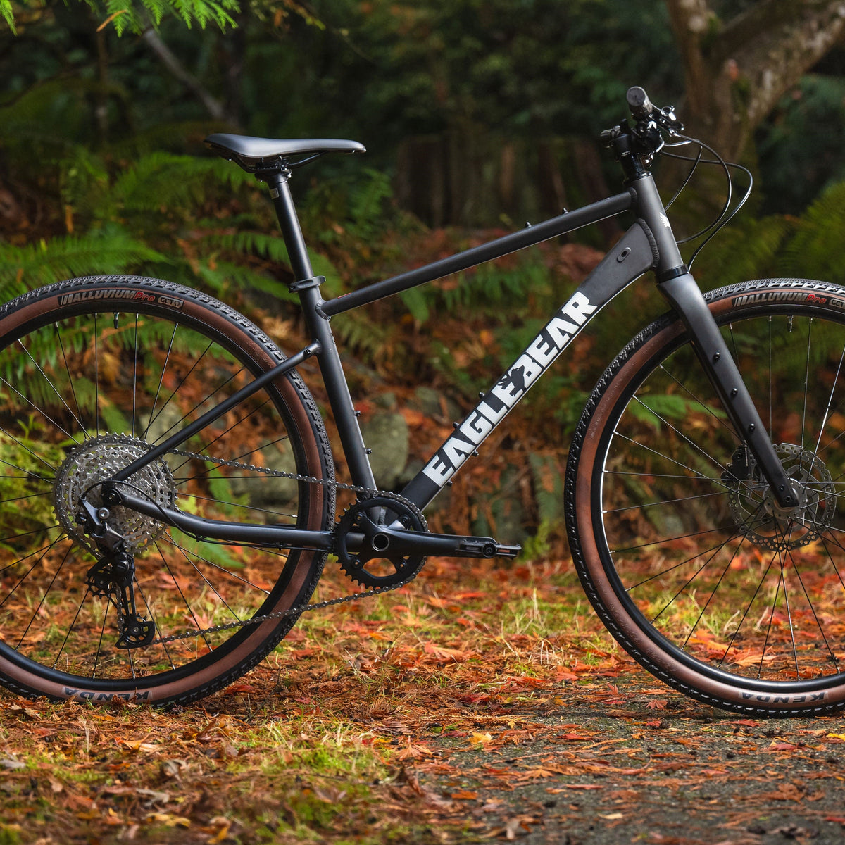The Best Bike for Everyday Riding – Eaglebear
