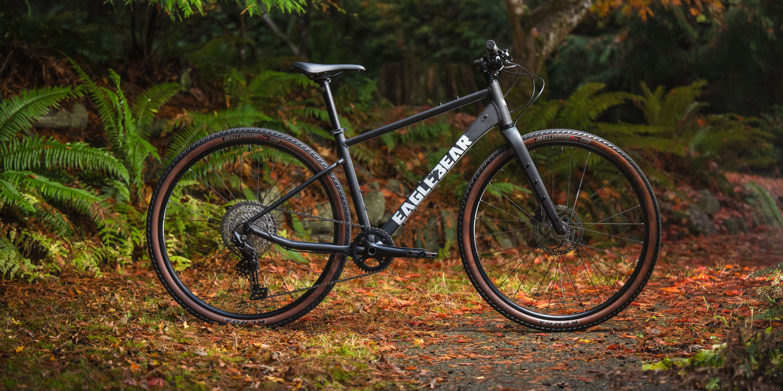 The Best Bike for Everyday Riding